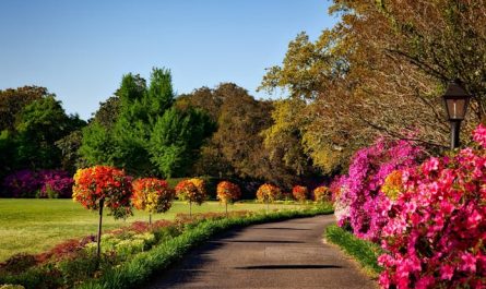 Jardin fleuri toute l'année