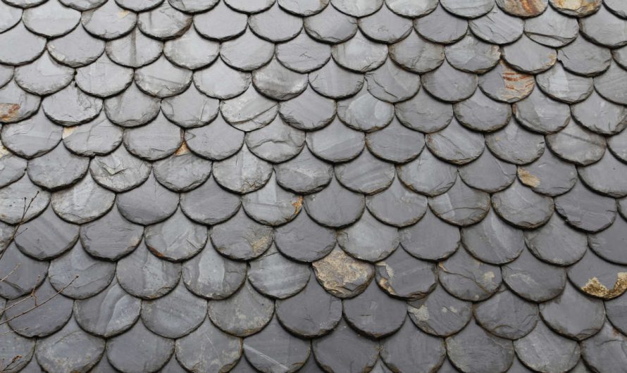Toiture ardoise naturelle vs synthétique en Marne : que choisir pour sa couverture ?